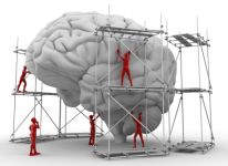 Brain under Construction